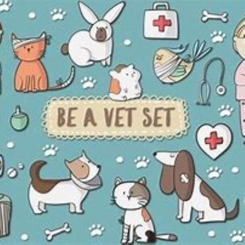 Earl Sterndale C of E Primary School A Visit from a Vet